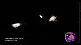 GM153 Electric Palms – 21 shots