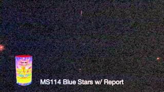 MS114 Blue Stars w/ Report